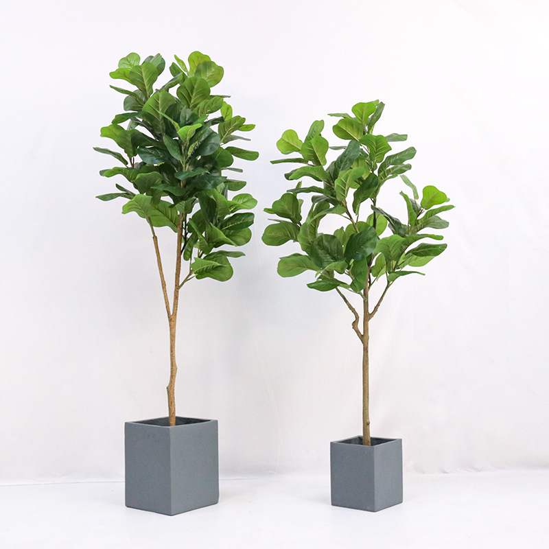 Sztuczna, plastikowa roślina d – Ficus Lyrata Tree recenzja i cena