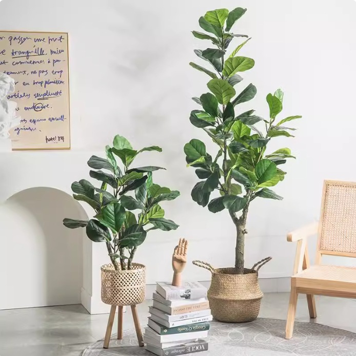 Sztuczna, plastikowa roślina d – Ficus Lyrata Tree recenzja i cena